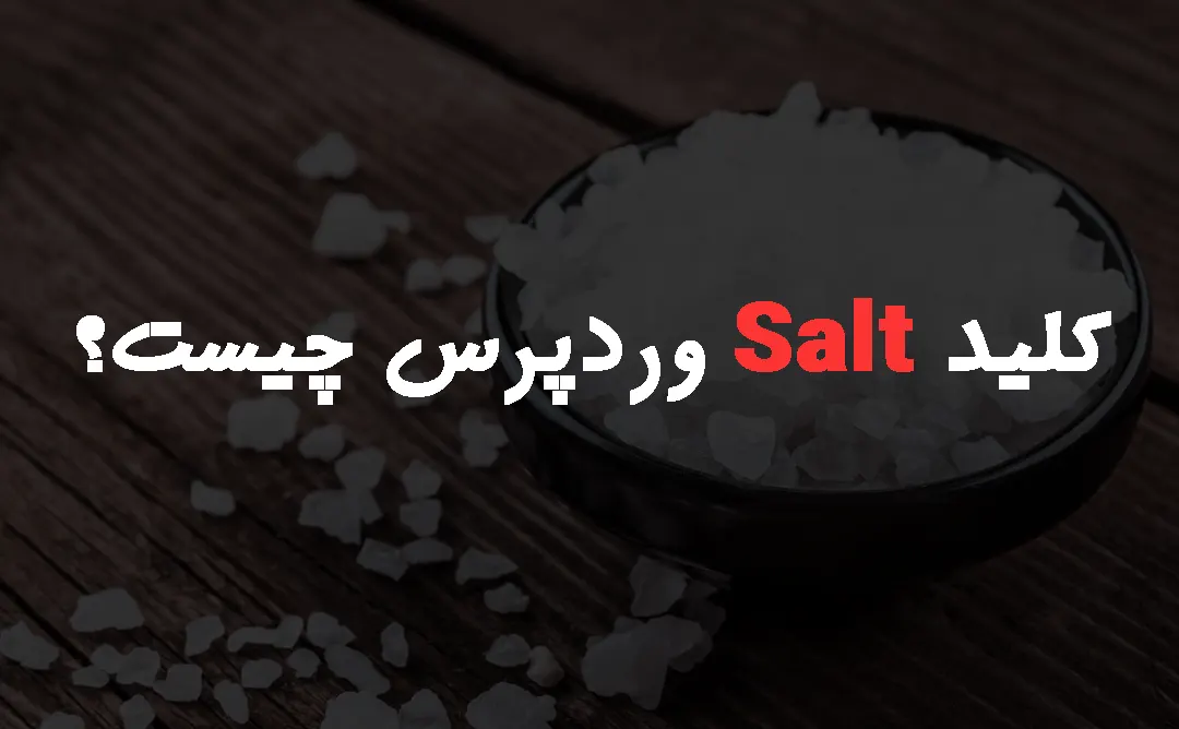 Salt وردپرس چیست و چه کاربردی دارد؟